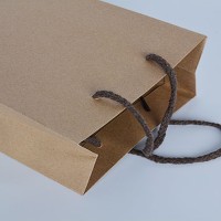 PC011 Customized solid color kraft paper bag Garment bag Tote bag Green gift bag Eco bag manufacturer back view